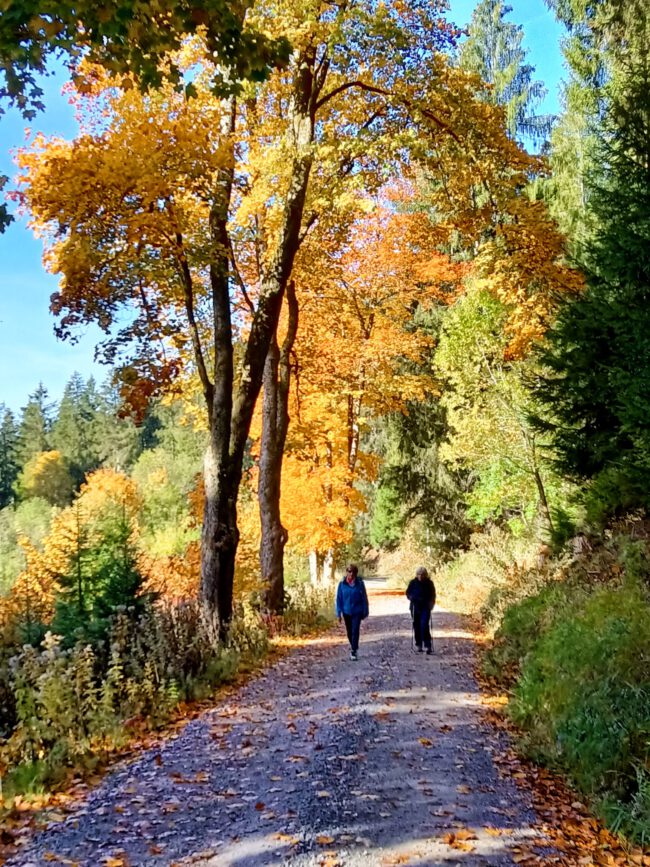 wandern_0kt22_5