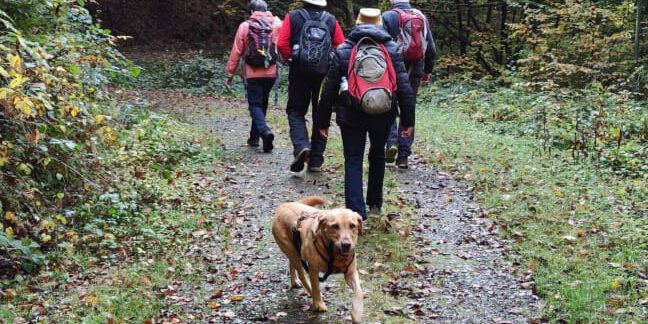 Wandern_Okt24_2