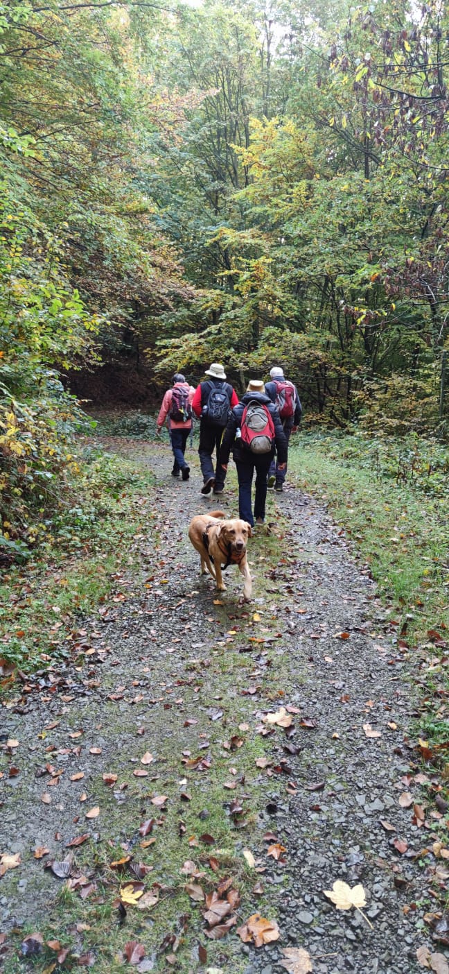 Wandern_Okt24_2